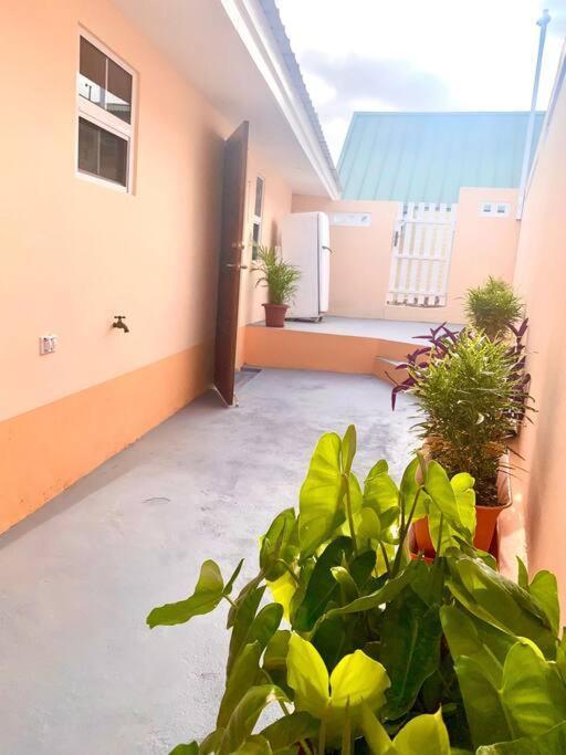 Centrally Located, Private, 1 Bedroom Apartment. วิลเลมสตัด ภายนอก รูปภาพ